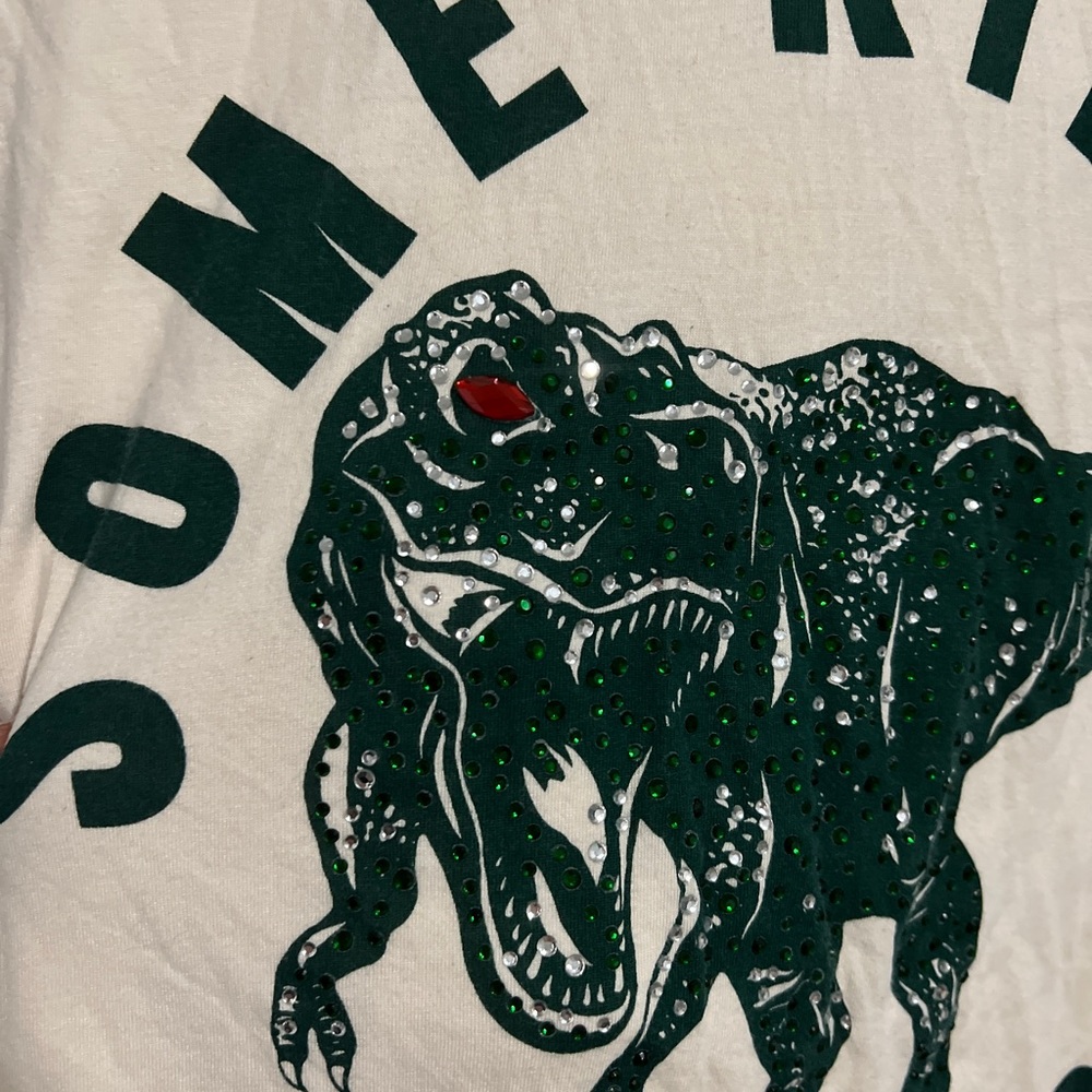 Zara Dinosaur printed T shirt